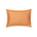 Whimsy Nature Brush Strokes Pillow Sham Set Rust