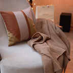 Sadyaska Mocha Honeycomb Woven Throw with Embroidered 16"x16" 2 Pcs Cushion Cover