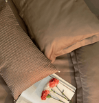 Sadyaska Moonshine Taupe Treasure 1 Pcs Bedsheet