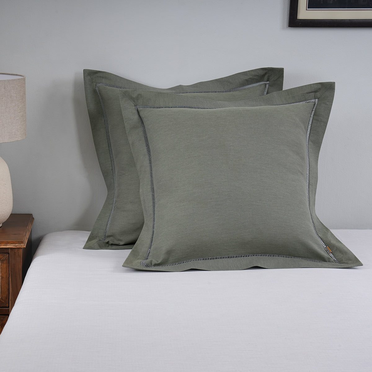 Emmie 100% Egyptian Cotton Woven Green 2PC Pillow Case Euro Set