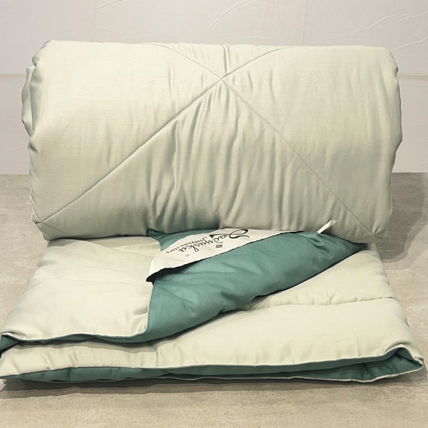 Sadyaska Sage Green and Turquoise 1000TC Cotton Rich Reversible Downfill 1 Pcs Quilt