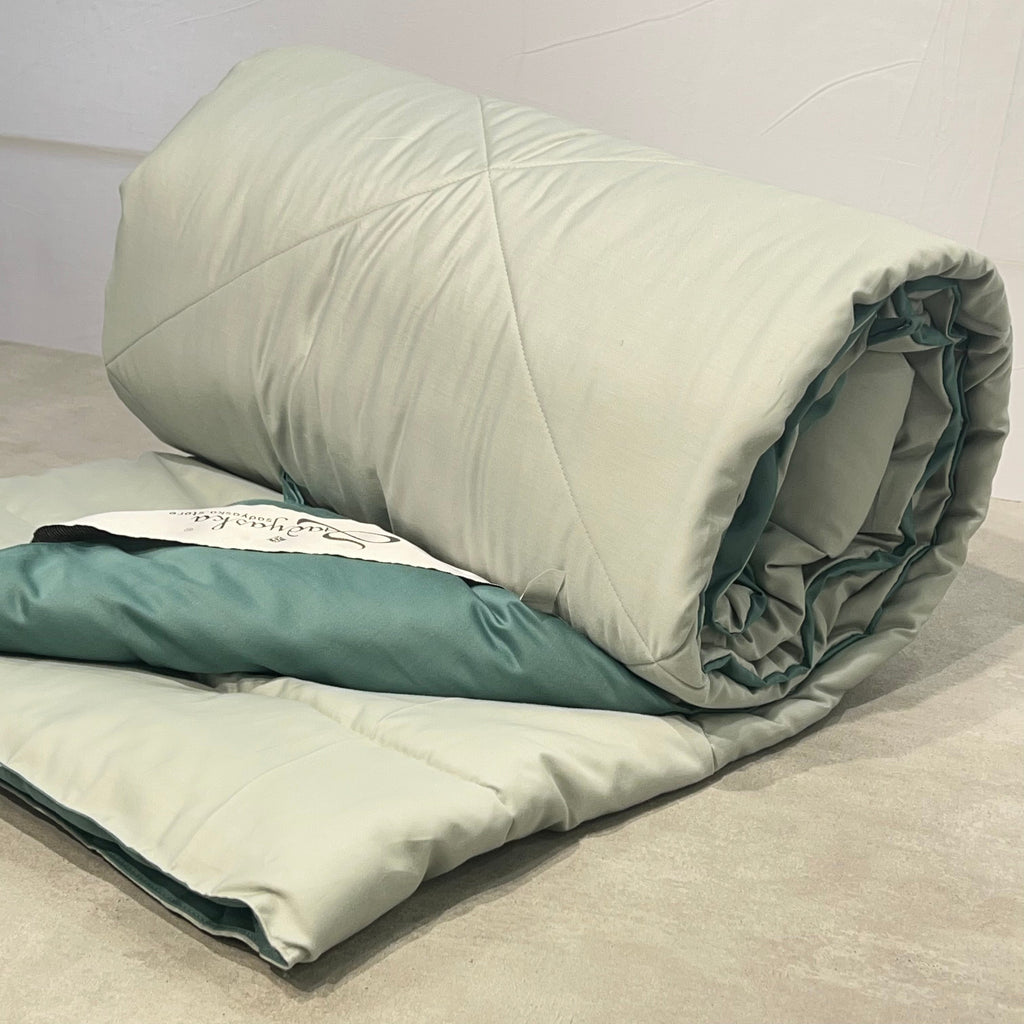 Sadyaska Sage Green and Turquoise 1000TC Cotton Rich Reversible Downfill 1 Pcs Quilt
