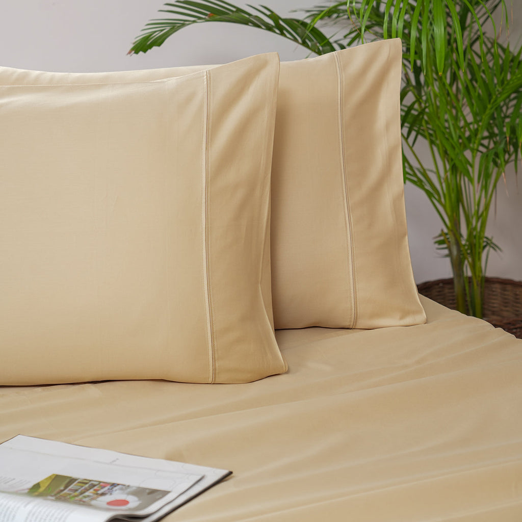 Melina Plain 100% Cotton Extra Soft & Luxurious Bed Sheet with Pillow Case
