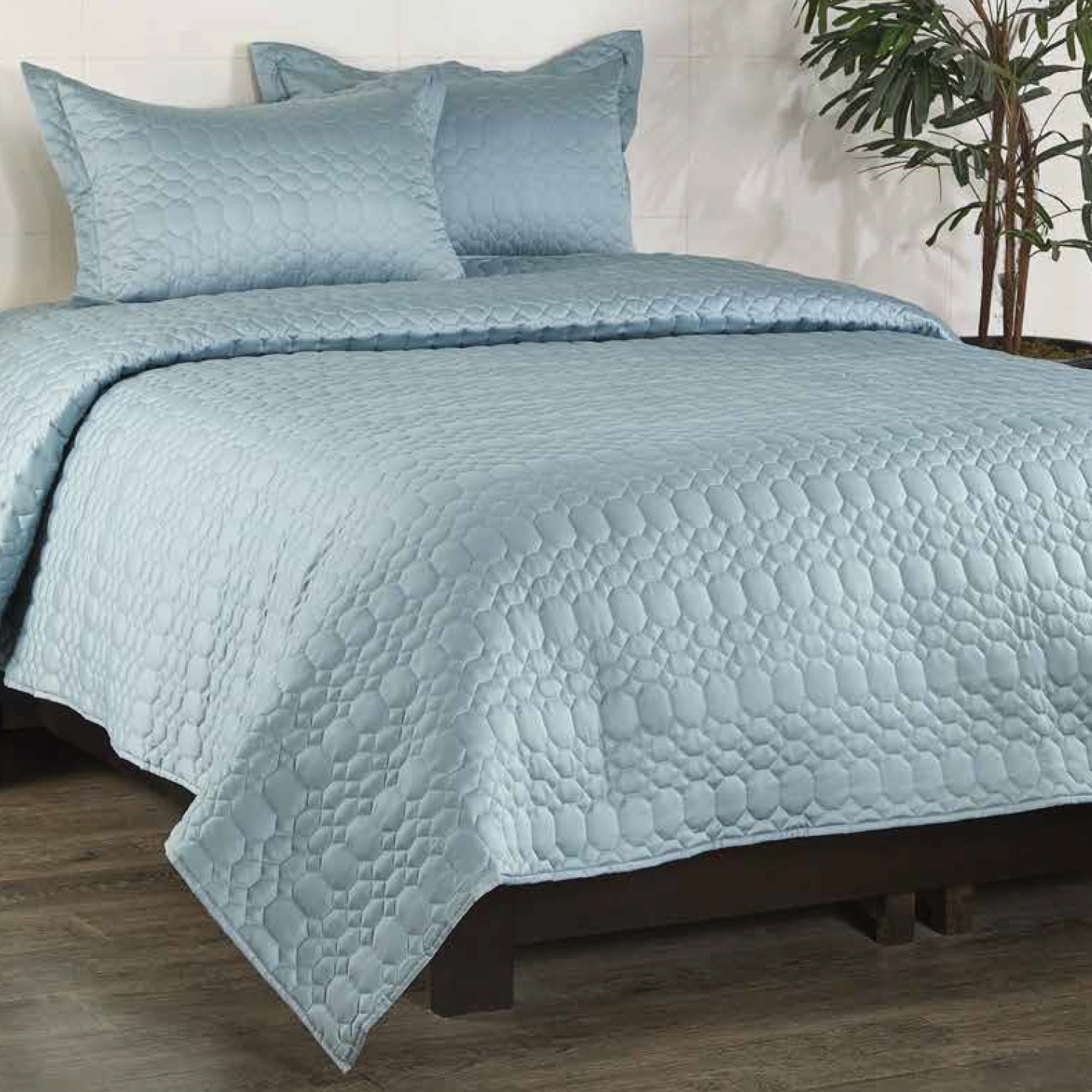 Anna Simona Stanley 3 Pcs Bedsheet Set  (Powder Blue)