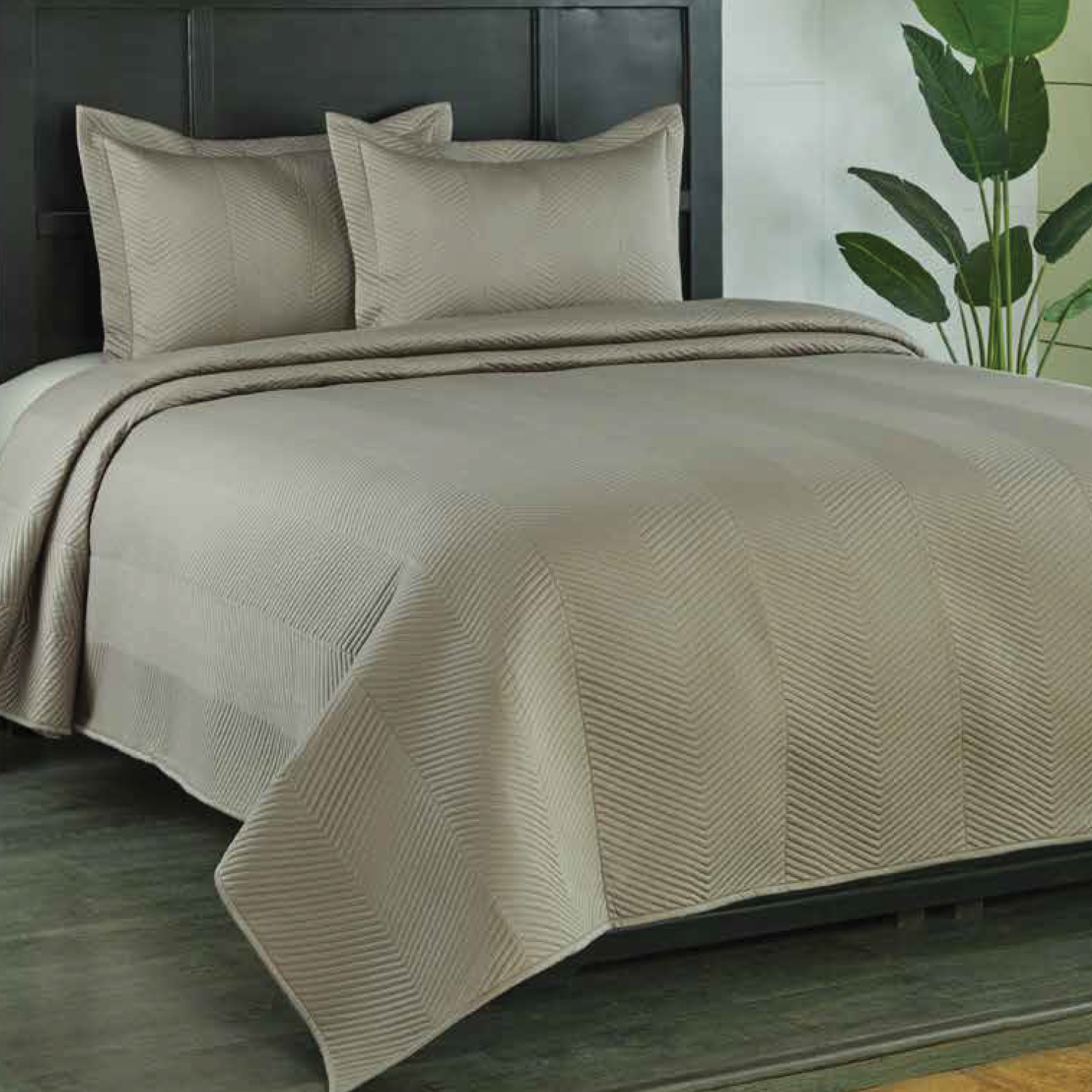 Anna Simona Chevron-1 3 Pcs Bedsheet Set