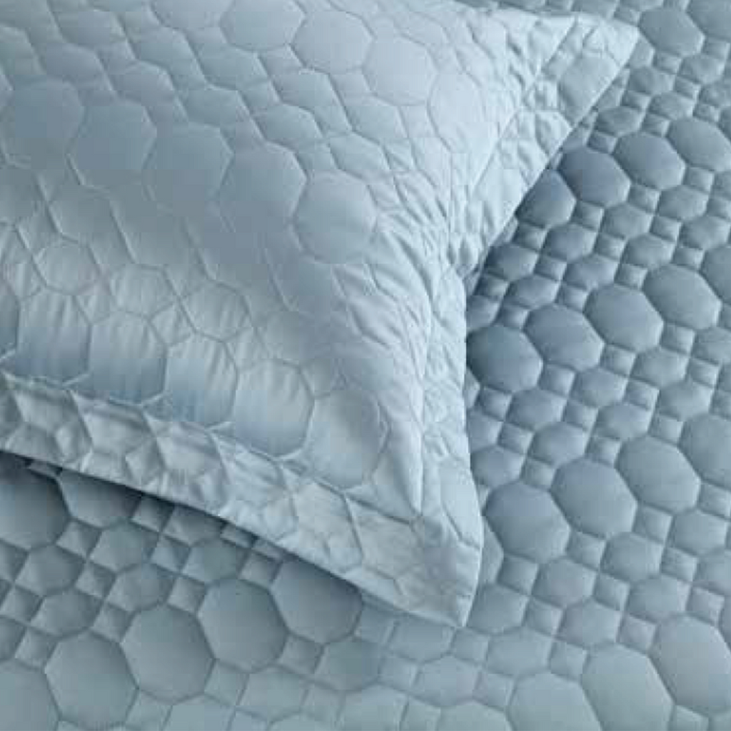 Anna Simona Stanley 3 Pcs Bedsheet Set  (Powder Blue)