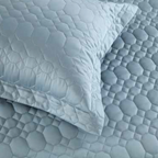 Anna Simona Stanley 3 Pcs Bedsheet Set  (Powder Blue)