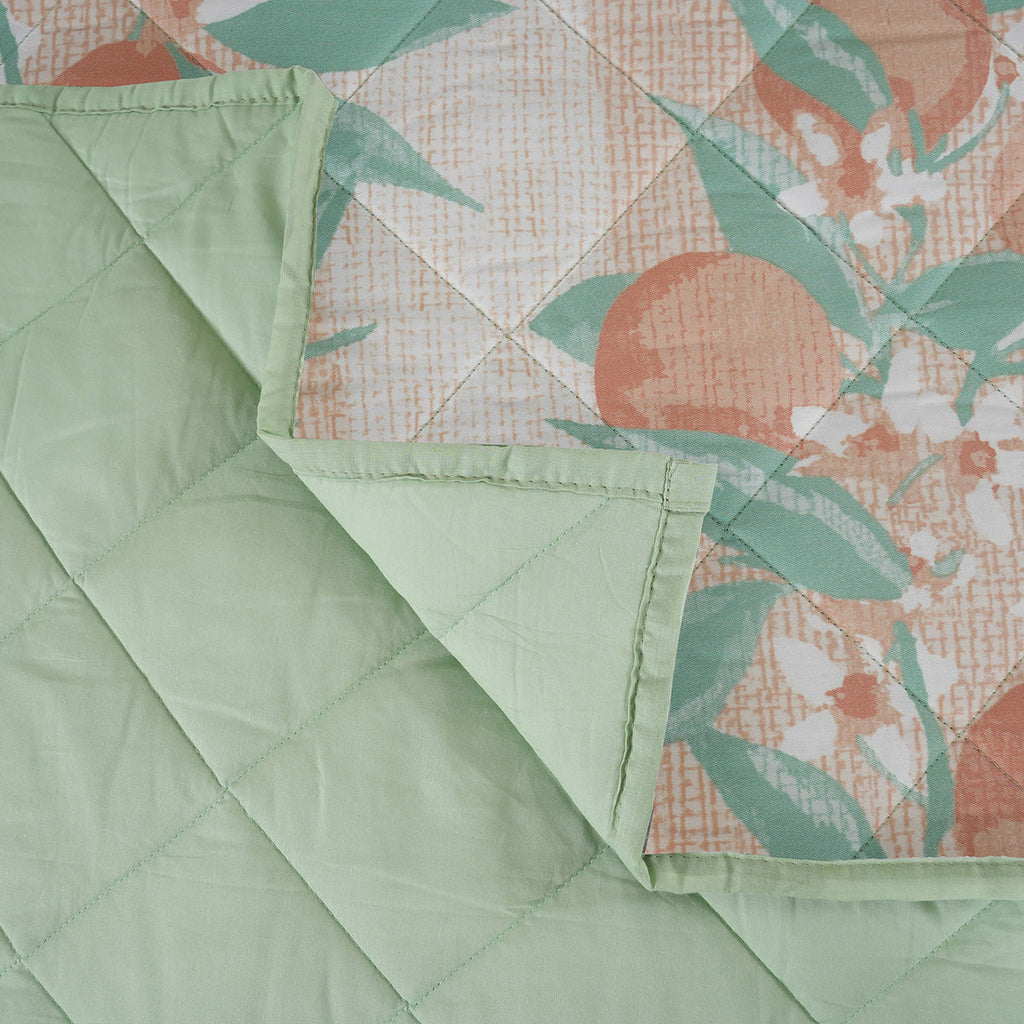 Sensory Bloom Colorsplash extremely Cozy Peach Quilt
